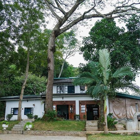 Hotel Welikande Yoga Retreats Digana Esterno foto