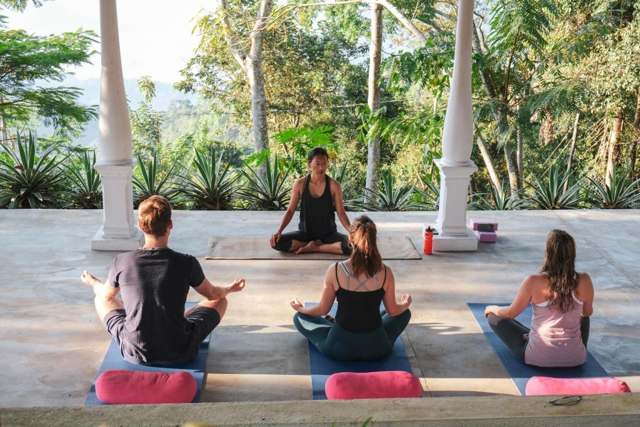Hotel Welikande Yoga Retreats Digana Esterno foto